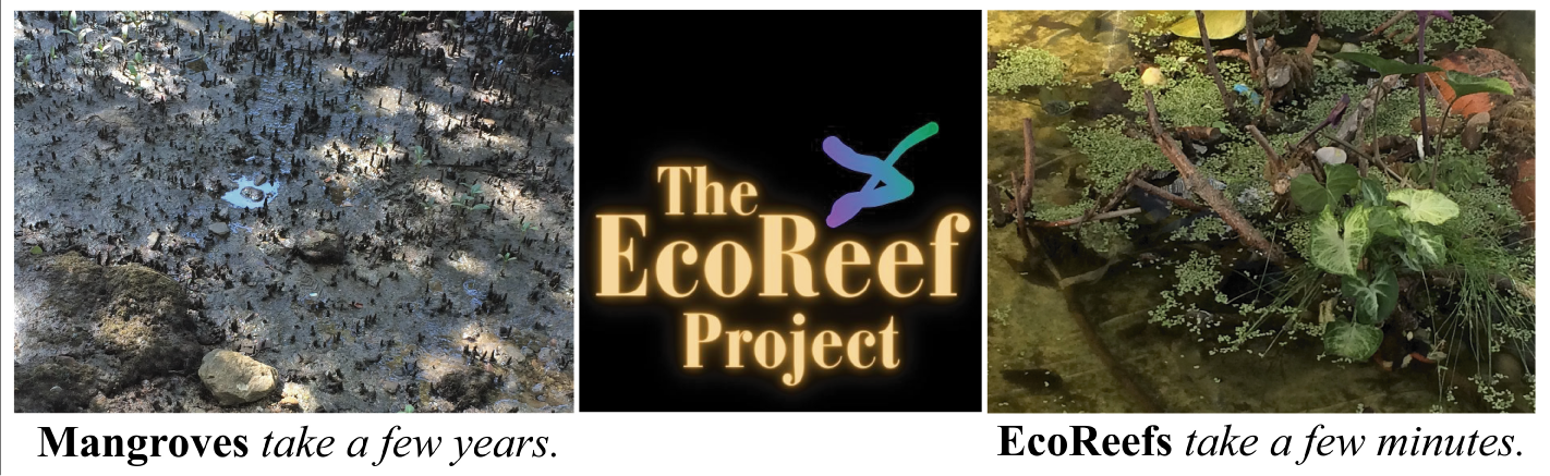 The EcoReef Project