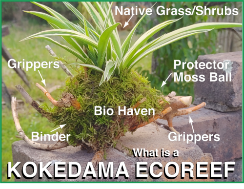 The EcoReef Project Diagram