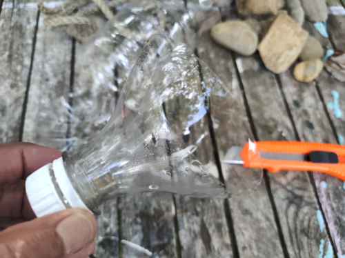 Purposeful Temporary EcoReefs As Powerful Long-Term Ecology