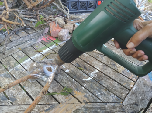 Creating Man-Made Ecosystems Fish Breeding Business With EcoReefs