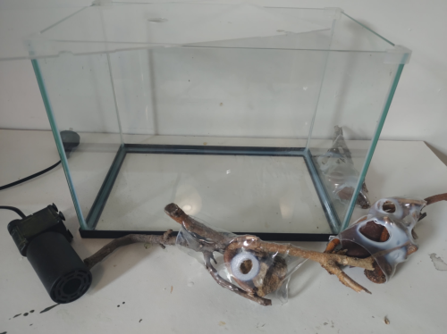 How To Create A Thriving Fish Breeding Aquarium With EcoReefs