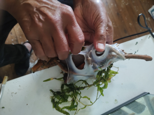 How to build Aquarium Miniature EcoReefs
