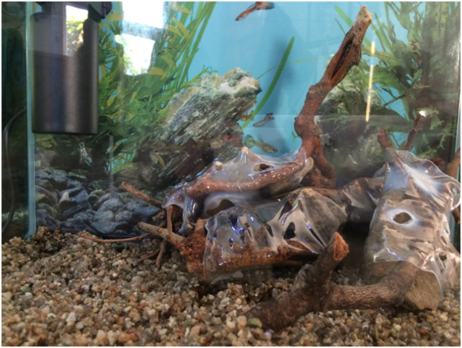 EcoReef Miniature Reefs Aquatic Sanctuary Design Aquariums With Gravel And Stones