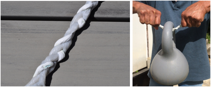 EcoReefs As Removable Catalysts For Ecological Renewal