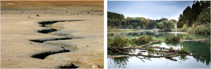 Lifecycle and Biodegradation Timeline