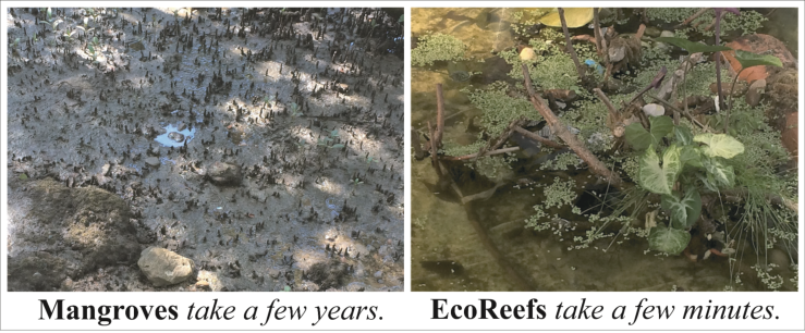 Tracking the Impact of EcoReefs in Shallow Systems